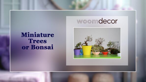 Modern Tables As Platform For Indoor Plants 8 Miniature Trees or Bonsai